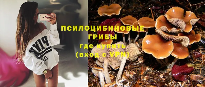 Псилоцибиновые грибы Magic Shrooms  купить наркотик  Энем 